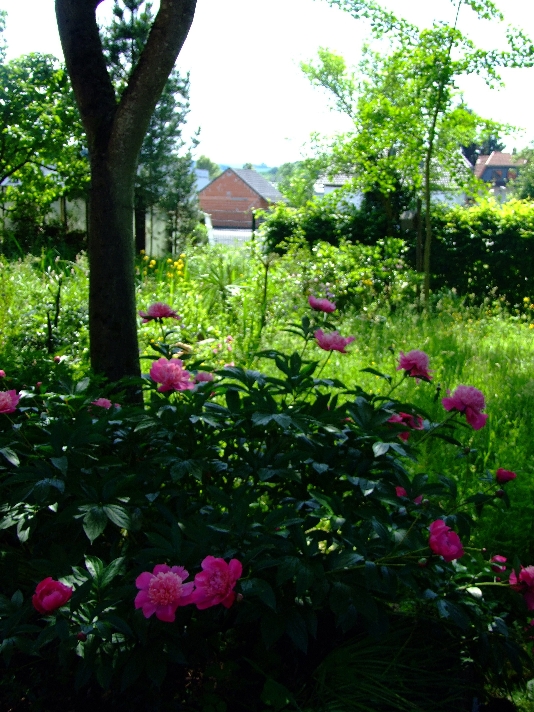 Augenblick
