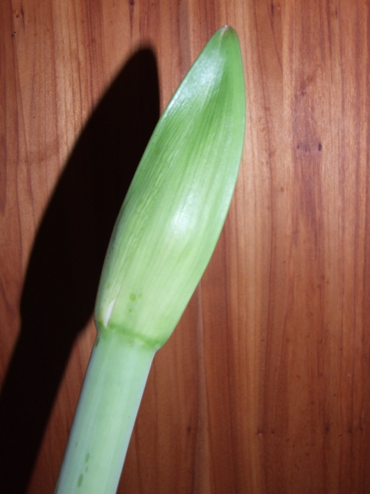 Stufen